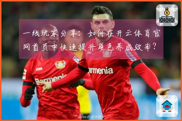 一线玩家分享：如何在开云体育官网首页中快速提升角色养成效率？