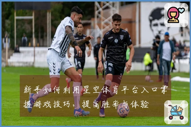 新手如何利用星空体育平台入口掌握游戏技巧,提高胜率与体验
