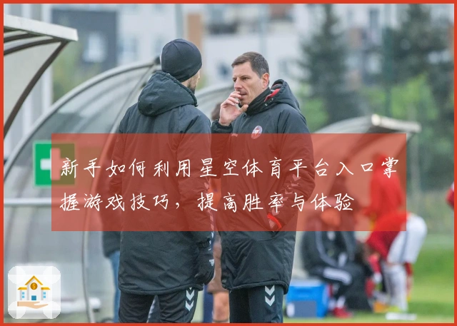 新手如何利用星空体育平台入口掌握游戏技巧，提高胜率与体验